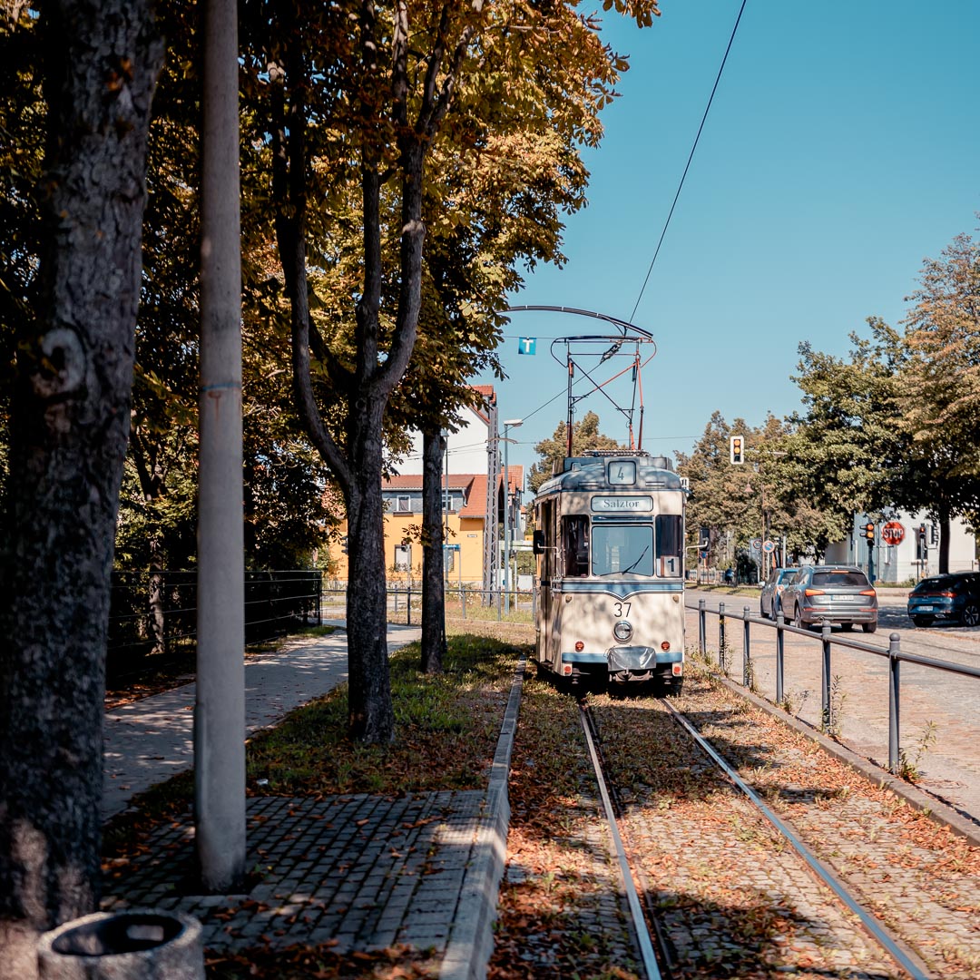 lebenshilfe-naumburg-ibw-20210909-035